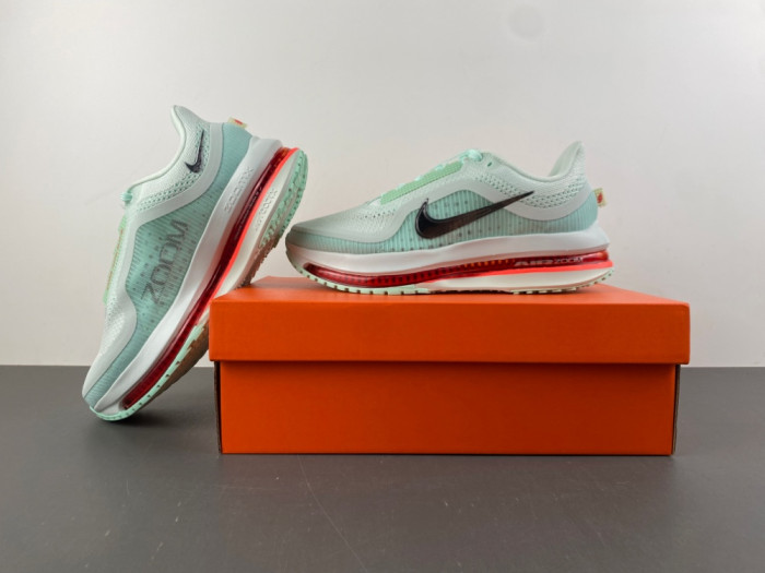 Nike Pegasus Premium 