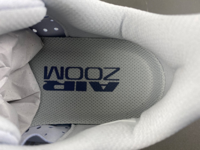 Nike Wmns Pegasus Premium 