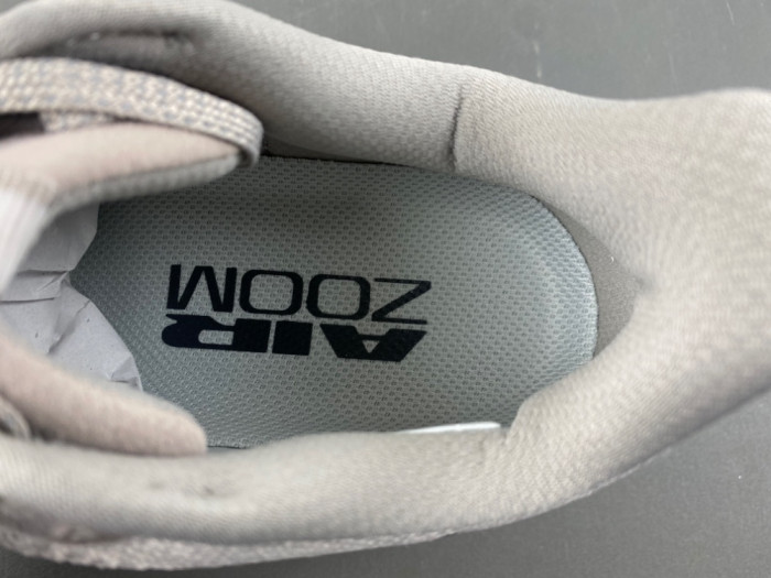 Air Zoom Pegasus Premium 