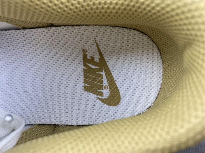 Nike Dunk Low Essential Paisley Pack Barley (W) DH4401-104