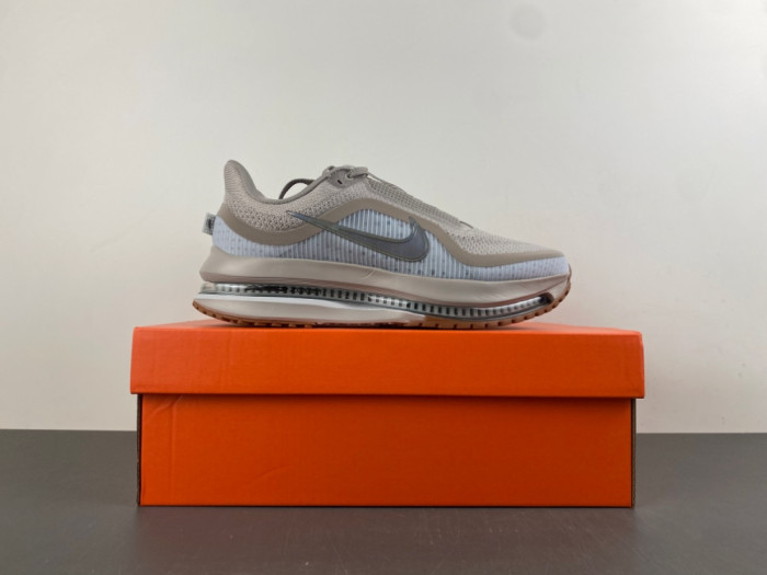 Air Zoom Pegasus Premium 