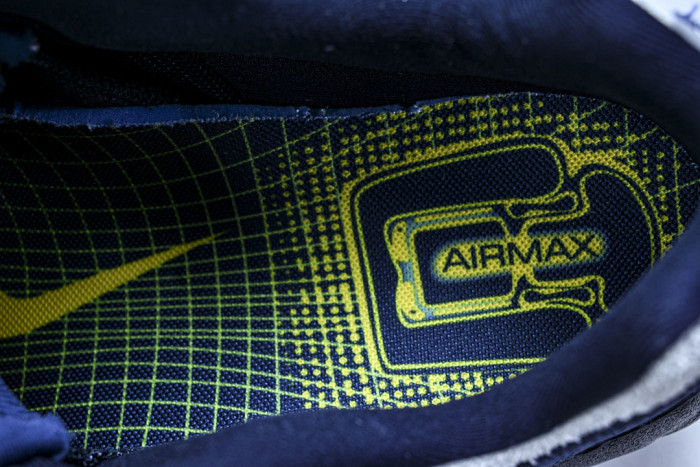 Nike SB Air Max 95 x Eric Koston HQ8492-400