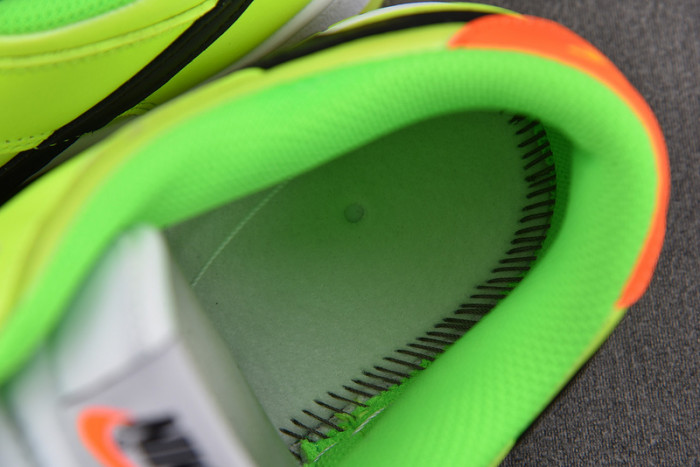 Nike Dunk Low Glow In The Dark FJ4610-702