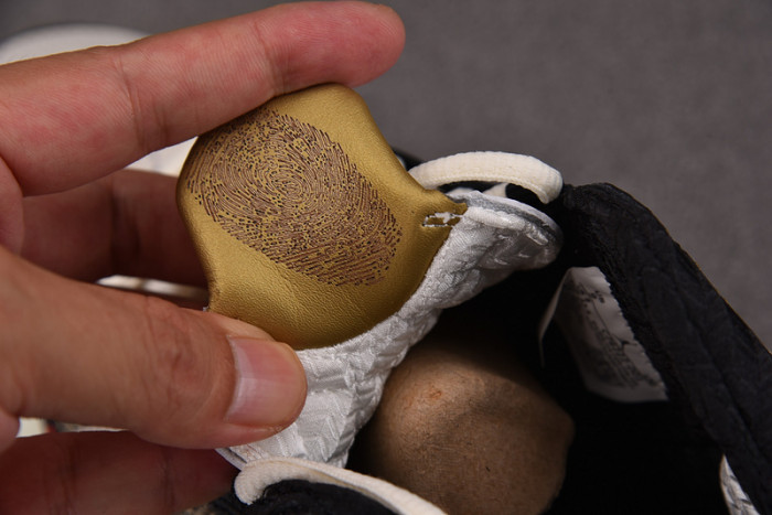 Titan x Air Jordan 23 Retro SP 