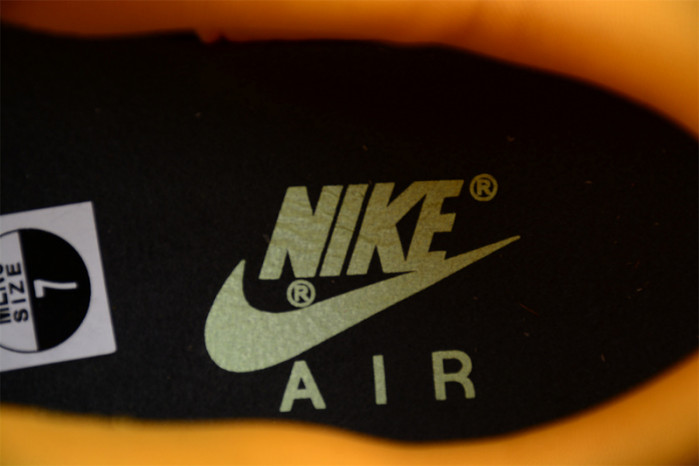 Nike Air Max 1 PRM Duck Honey Dew Men