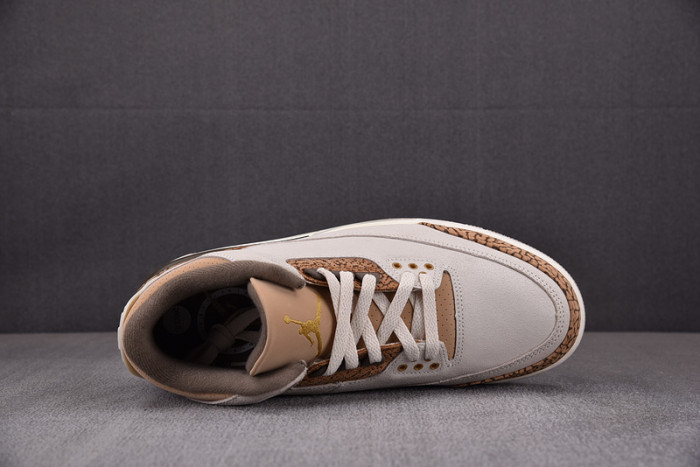 Air Jordan 3 "Palomino" CT8532-102