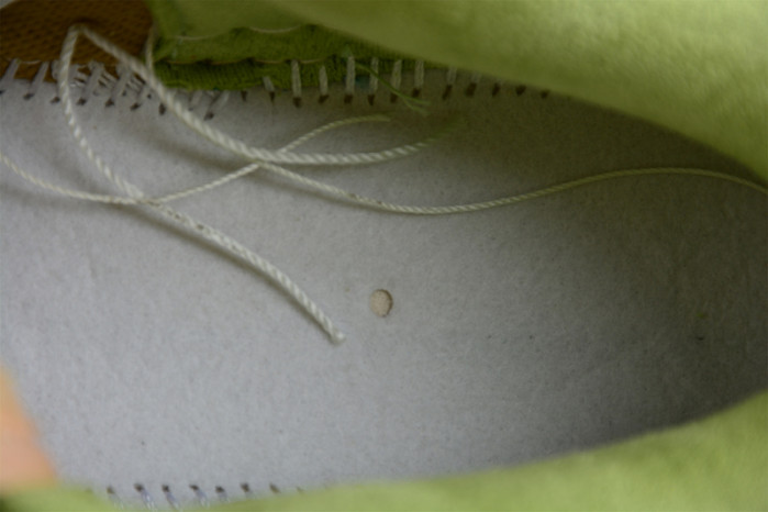 Dunk Low NH "Sun Club" DM0583-800