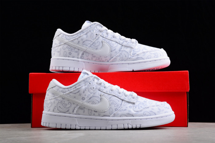 Nike Dunk Low DJ9955-100