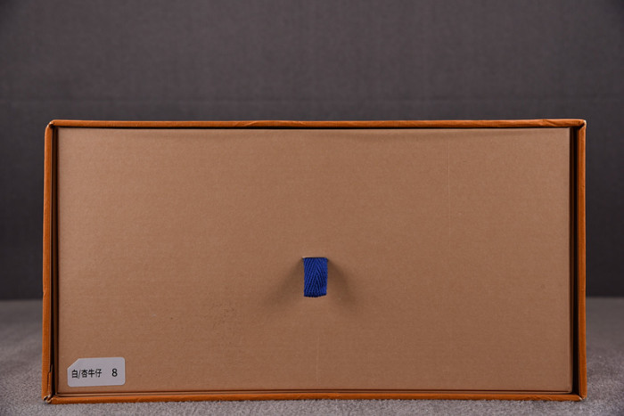 LV SNEAKER LV-000095