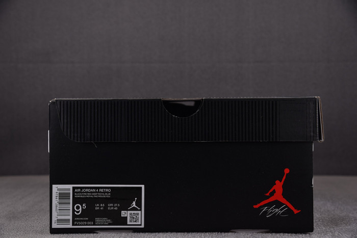 Air Jordan 4 “Rare Air” FV5029-003