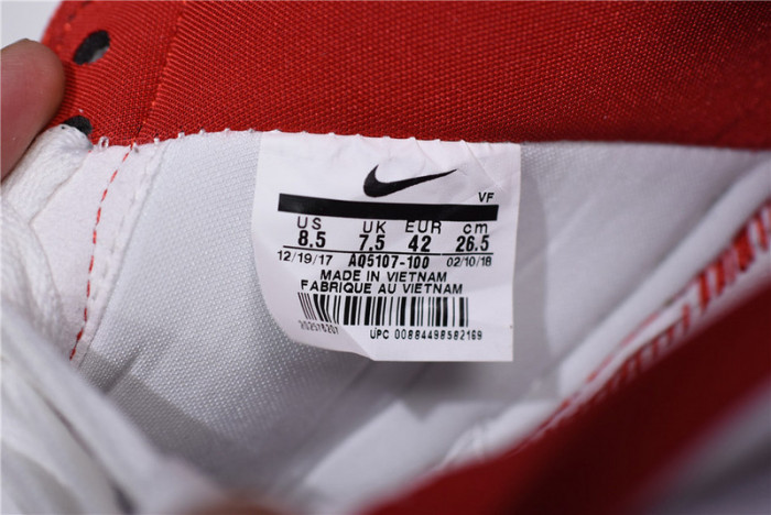 Nike Air Force 1 Low Fo Fi Fo AQ5107-100