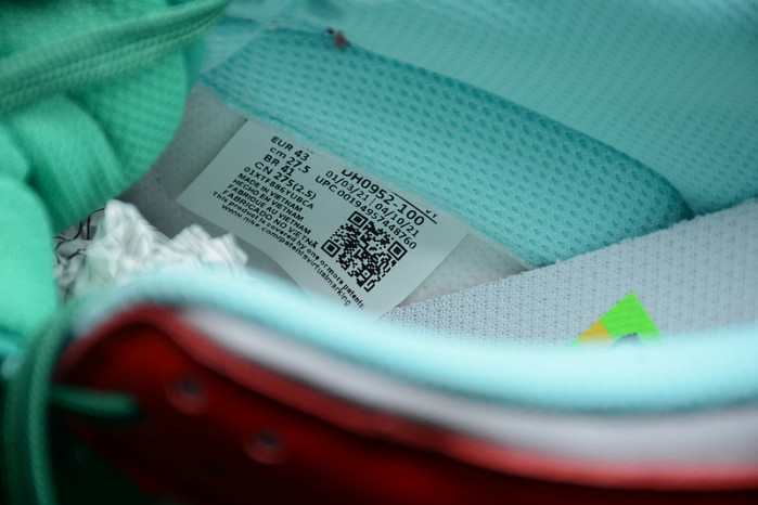 Nike Dunk Low “Free 99” DH0952-100