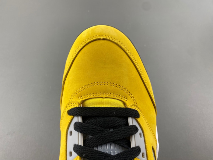 Air Jordan 5 Retro T23 